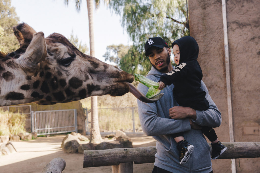 Father and son feed a giraffe together at the Melbourne Zoo.
