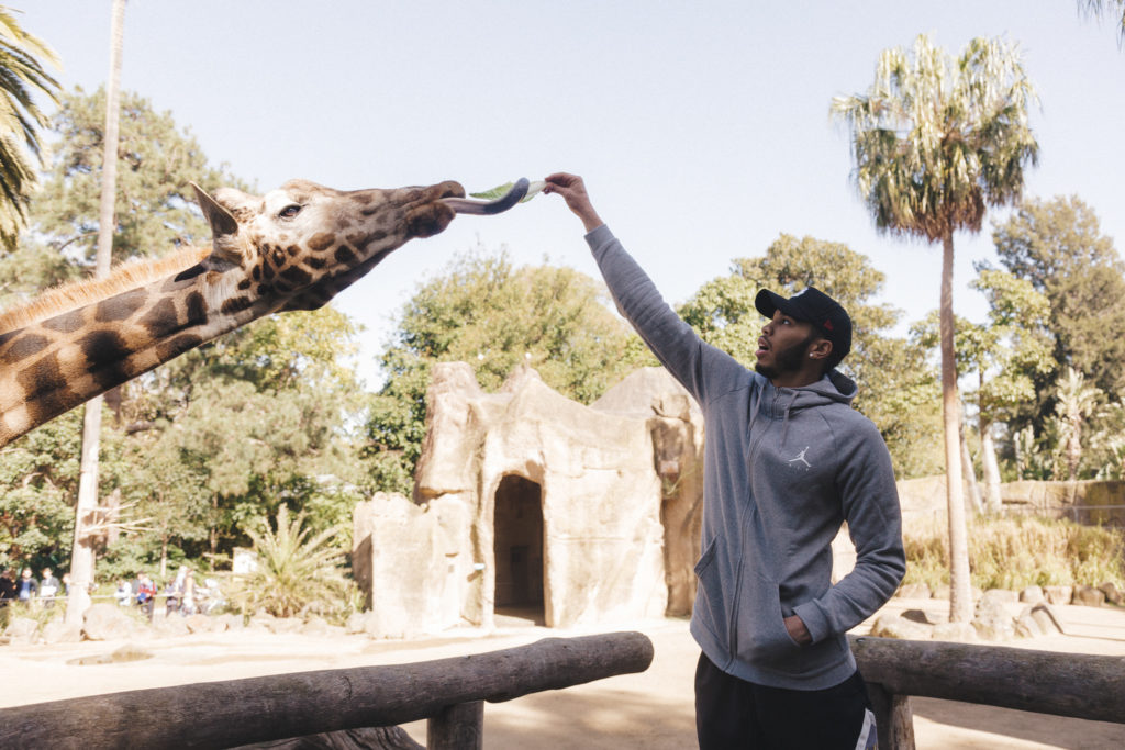 Jayson feeds a giraffe at the Melbourne Zoo.
